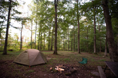 Tent Sites – Tall Oaks Campground